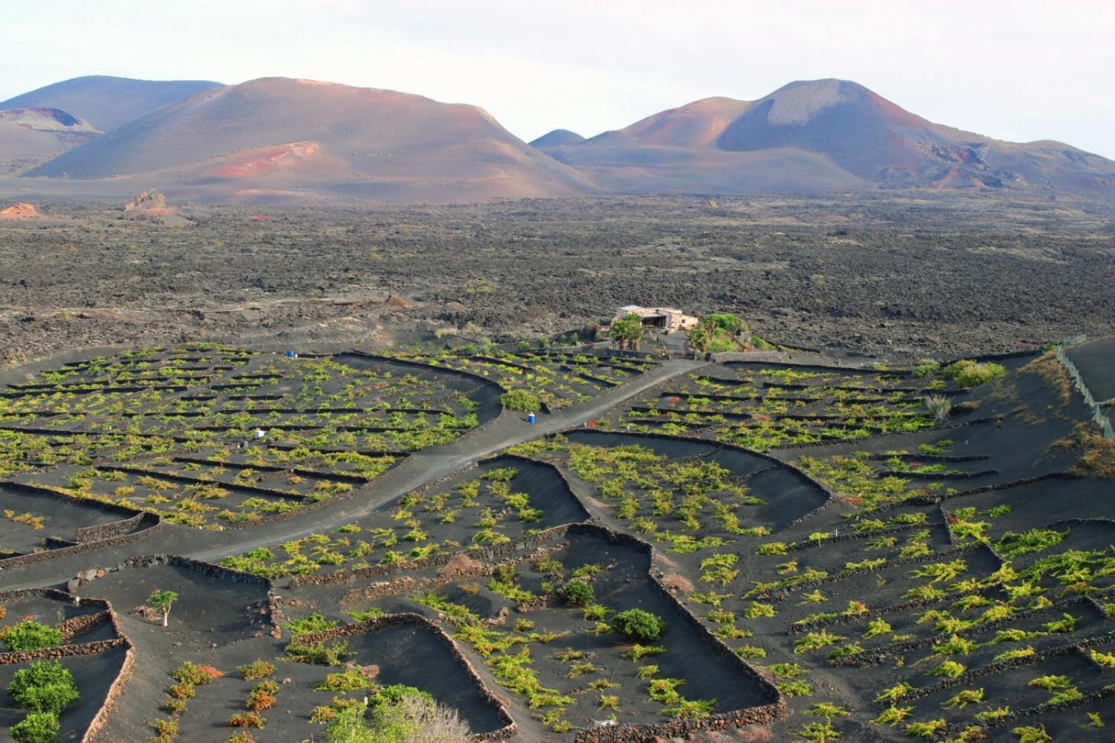 Ferienhaus Vega De Timanfaya